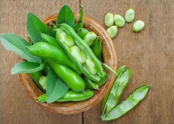 Τα κουκιά και οι παροιμίες τους