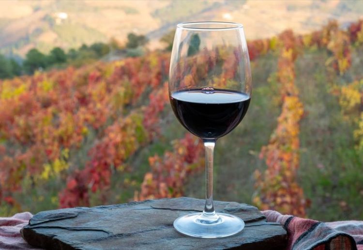 Τα κρασιά της Πιερίας διαπρέπουν Τα κρασιά της Πιερίας διαπρέπουν