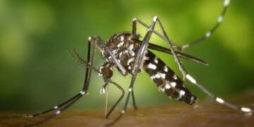Χαμηλή Όχληση Από Τα Κουνούπια Ως Τον Ιούνιο