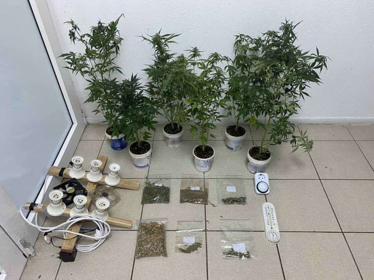 Κατερίνη: Έκανε το σπίτι του… εργαστήριο κάνναβης – Η εικόνα που αντίκρισαν οι αστυνομικοί (video)