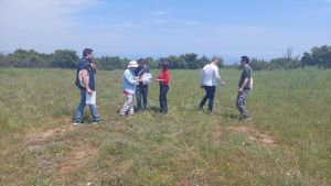 Έντομα επικονιαστές: Αναγνωρίζοντας τους επικονιαστές του Ολύμπου