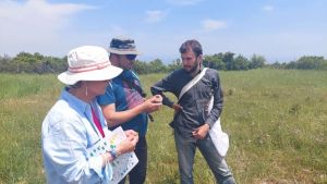 Έντομα επικονιαστές: Αναγνωρίζοντας τους επικονιαστές του Ολύμπου