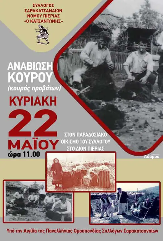 Βιωματική Δράση Συλλόγου Σαρακατσαναίων Πιερίας (Αναβίωση Κούρου) Βιωματική Δράση Συλλόγου Σαρακατσαναίων Πιερίας (Αναβίωση Κούρου)