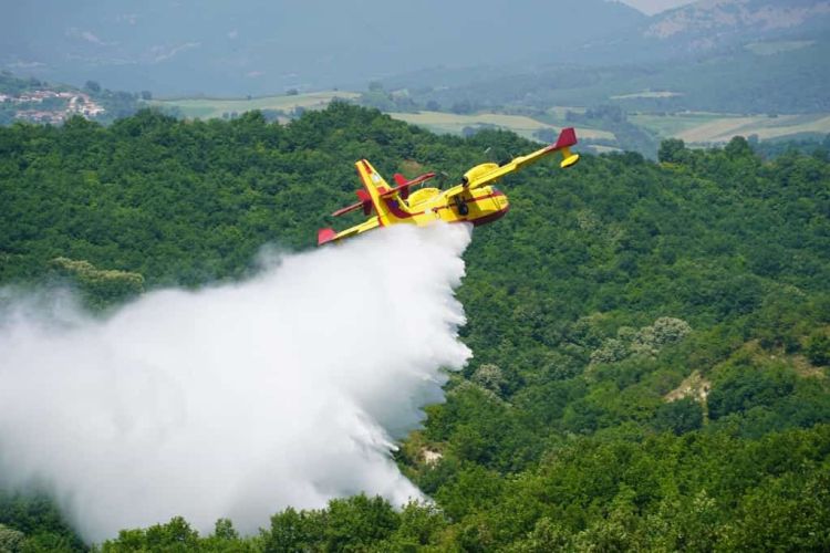 Πυροσβεστική Πιερίας: Άσκηση Ετοιμότητας Δασικής Πυρκαγιάς