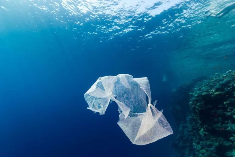 Φόρος Ανακύκλωσης: 8 Λεπτά Επιπλέον Από 1Η Ιουνίου Οι Πλαστικές Σακούλες