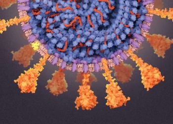 Όμικρον 5: Είμαστε αντιμέτωποι με την χειρότερη υποπαραλλαγή – Οι τρεις λόγοι που την φοβούνται οι επιστήμονες