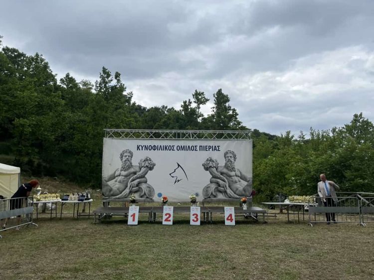 Αγία Τριάδα Βροντούς: Διεθνής Έκθεση Μορφολογίας Σκύλων του Κυνοφιλικού Ομίλου Πιερίας