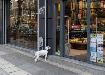 Ανακοίνωση σχετικά με τον ορισμό της εορτής του Αγίου Πνεύματος ως ημέρας τοπικής αργίας για τα εμπορικά καταστήματα