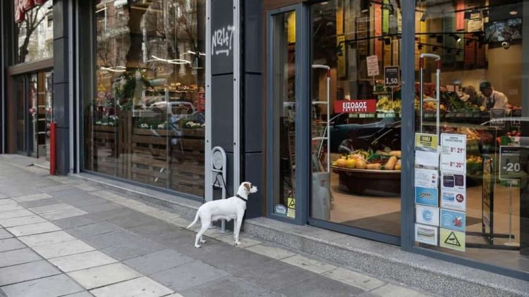 Ανακοίνωση σχετικά με τον ορισμό της εορτής του Αγίου Πνεύματος ως ημέρας τοπικής αργίας για τα εμπορικά καταστήματα