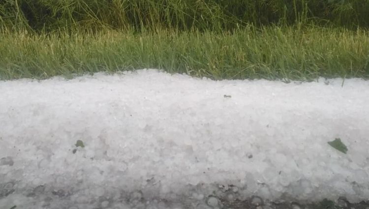 Μετρούν τις πληγές τους οι αγρότες Αυτόματο προσχέδιο