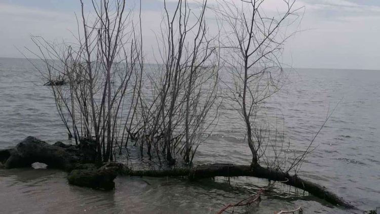 Δ.Ε.Υ.Α. Κατερίνης: Για ακτές Πιερίας και λειτουργία Βιολογικού Καθαρισμού