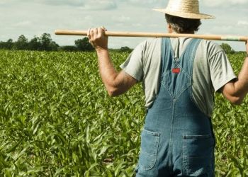 Εγκατάσταση Νέων Γεωργών” (3η πρόσκληση) του ΠΑΑ 2014 2020 της Περιφερειακής Ενότητας Πιερίας