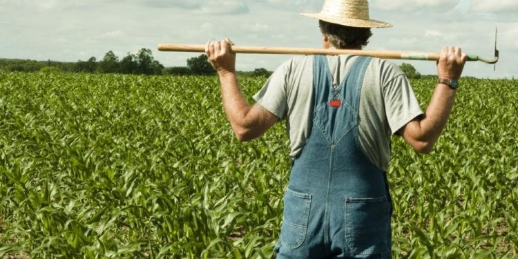 Εγκατάσταση Νέων Γεωργών” (3η πρόσκληση) του ΠΑΑ 2014 2020 της Περιφερειακής Ενότητας Πιερίας