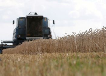 Εξαγωγή σιτηρών με «πονηρά σχέδια» στη Βόρεια Αμερική, τη Μέση Ανατολή και την Αφρική