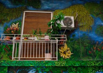 Επιδότηση ηλεκτρικών συσκευών: Οδηγός και παραδείγματα για το πρόγραμμα αντικατάστασης