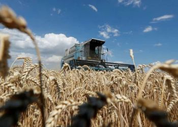 Επισιτιστική κρίση δεν θα υπάρξει στην Ελλάδα – Ούτε τώρα ούτε στο μέλλον