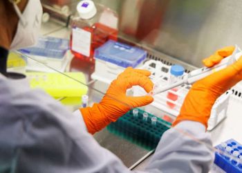 Ευλογιά των πιθήκων: Συναγερμός στην Ελλάδα μετά το πρώτο κρούσμα – Πώς μεταδίδεται, τί συμβαίνει με τα εμβόλια