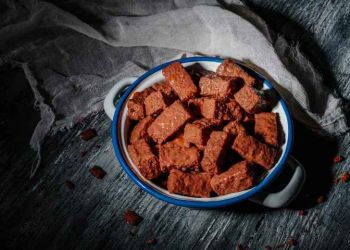 Θα μας σκότωνε η κατανάλωση τροφής για κατοικίδια;