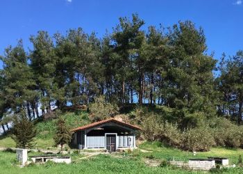 Καλοκαίρι στην Κατερίνη της Τέχνης & του Πολιτισμού – Πολιτιστικές προτάσεις για όμορφες βραδιές