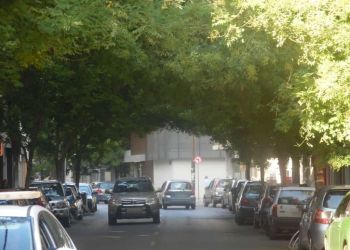 Κατερίνη μια «Πράσινη πόλη»