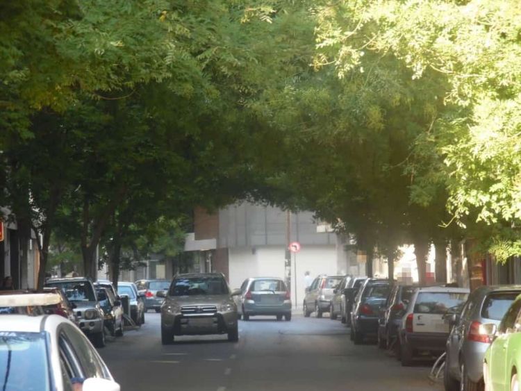 Κατερίνη μια «Πράσινη πόλη» Κατερίνη μια «Πράσινη πόλη»