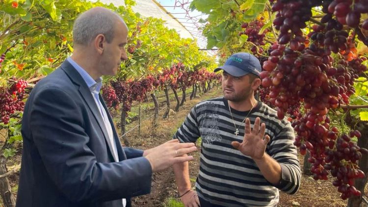 Ξεκινούν οι αποζημιώσεις για τα σταφύλια Crimson στην Πιερία - Δικαίωση Μπαραλιάκου Ξεκινούν οι αποζημιώσεις για τα σταφύλια crimson στην Πιερία – Δικαίωση Μπαραλιάκου