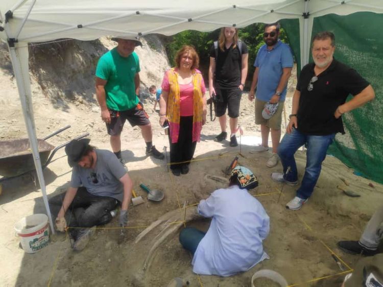 Παλαιοντολογικές έρευνες «ΜΑΣΤΟΔΟΝΤΑΣ – ΝΕΟΚΑΙΣΑΡΕΙΑ»