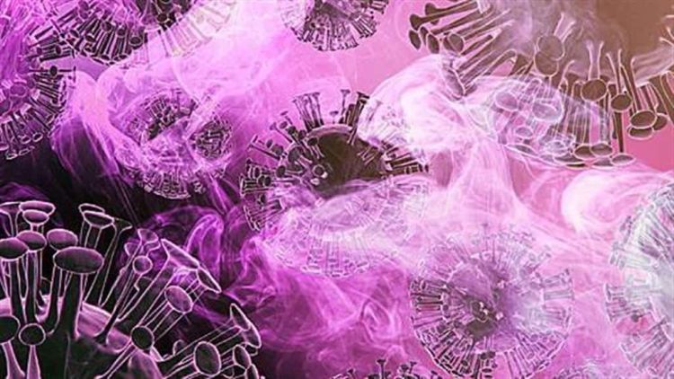 Πιερία: 13 κρούσματα - Κορονοϊός: 3.641 κρούσματα σήμερα, 16 θάνατοι και 125 διασωληνωμένοι Πιερία: 13 κρούσματα – Κορονοϊός: 3.641 κρούσματα σήμερα, 16 θάνατοι και 125 διασωληνωμένοι