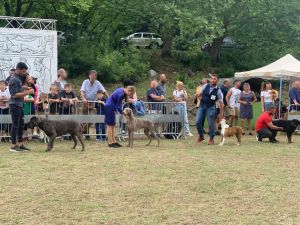 Αγία Τριάδα Βροντούς: Ολοκληρώθηκε η διήμερη Διεθνής Έκθεση Μορφολογίας Σκύλων του Κυνοφιλικού Ομίλου Πιερίας