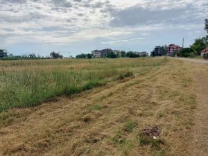 Δήμος Κατερίνης: Υπαίθριο χώρο στάθμευσης 50 στρεμμάτων στην Παραλία διαμορφώνουν τα Δημοτικά Πάρκινγκ