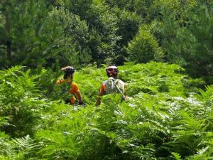 ΕΛ.Π.ΠΙ. - Ευχαριστήριο & πρόσκληση για Ποδηλασία! ΕΛ.Π.ΠΙ. – Ευχαριστηριο & προσκληση για Ποδηλασια!