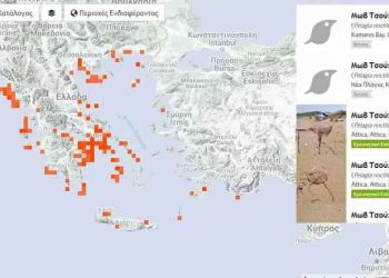 Μωβ Μέδουσες: Ο Χάρτης Με Τις «Κόκκινες» Περιοχές