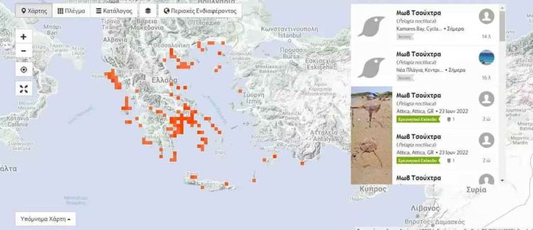 Μωβ Μέδουσες: Ο Χάρτης Με Τις «Κόκκινες» Περιοχές