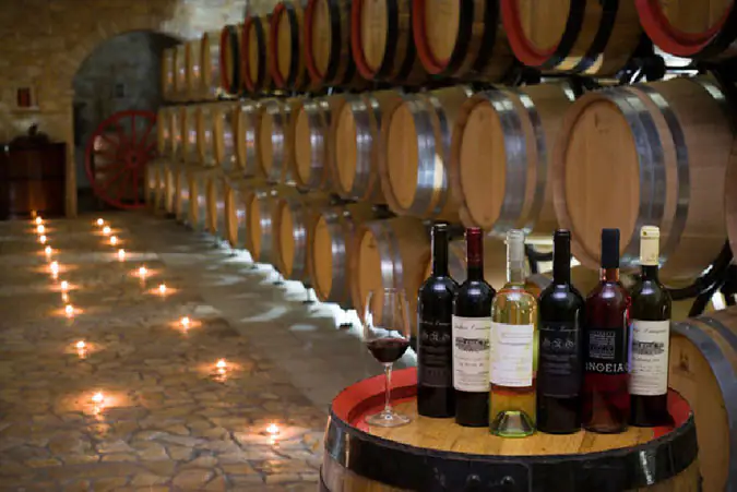 Οι πελαργοί στο Κίτρος Οι πελαργοί στο Κίτρος