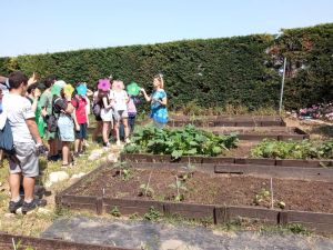 Το 4ου Δημοτικό Κατερίνης στο σχολείο της φύσης Το 4ου Δημοτικό Κατερίνης στο σχολείο της φύσης