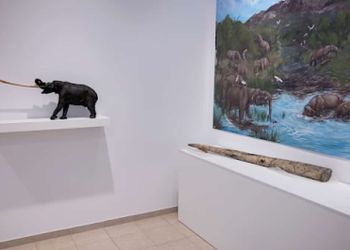 Ανακαλύπτοντας τη Ζωή που Υπήρχε Πριν από Εκατομμύρια Χρόνια στα Χωριά της Μακεδονίας (vice.com)