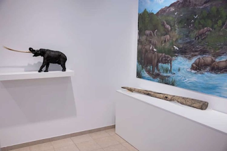 Ανακαλύπτοντας τη Ζωή που Υπήρχε Πριν από Εκατομμύρια Χρόνια στα Χωριά της Μακεδονίας (vice.com)