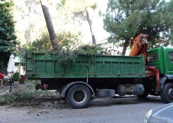 Αντιδημαρχία Πρασίνου Κατερίνης: Καθημερινή η φροντίδα των χώρων συνάθροισης πολιτών