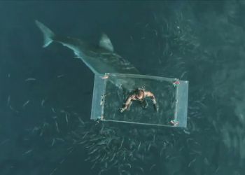 Δύτης ξεφεύγει από τα σαγόνια του λευκού καρχαρία για… εκατοστά