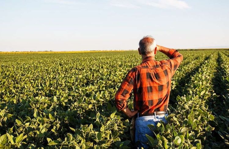 ΕΛΣΤΑΤ: «Καίει» τους αγρότες το κόστος παραγωγής ΕΛΣΤΑΤ: «Καίει» τους αγρότες το κόστος παραγωγής