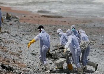 Επιστήμονες κατασκεύασαν ένα ρομποτικό ψάρι που θα ρουφάει μικροπλαστικά από τις θάλασσες