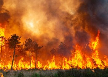 Η Ευρώπη «hotspot» για τους καύσωνες: «Καίγεται» η Γηραιά Ήπειρος – Πρωτοφανείς θερμοκρασίες και μεγάλες φωτιές