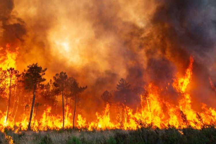 Η Ευρώπη «hotspot» για τους καύσωνες: «Καίγεται» η Γηραιά Ήπειρος – Πρωτοφανείς θερμοκρασίες και μεγάλες φωτιές Η Ευρώπη «hotspot» για τους καύσωνες: «Καίγεται» η Γηραιά Ήπειρος – Πρωτοφανείς θερμοκρασίες και μεγάλες φωτιές