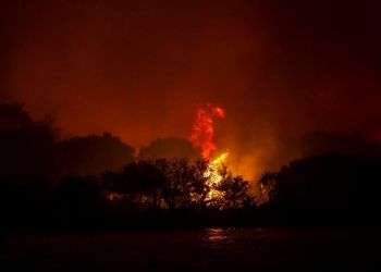 Η κλιματική αλλαγή θα αυξήσει τα επόμενα χρόνια τις δασικές πυρκαγιές παγκοσμίως, ιδίως στη Μεσόγειο