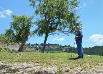 Κάγκελο ο παππούς: Τουρίστρια στο Λιβάδι βρήκε κολόνα στον δρόμο κι άρχισε το Pole Dancing (pics)