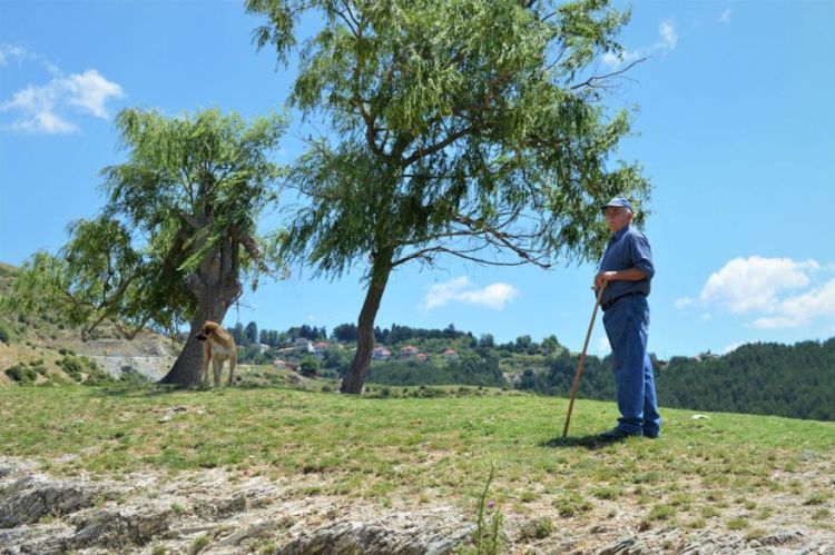 Κάγκελο ο παππούς: Τουρίστρια στο Λιβάδι βρήκε κολόνα στον δρόμο κι άρχισε το Pole Dancing (pics)