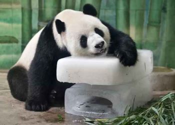 Κίνα: Πρωτοφανής καύσωνας «λιώνει» σκεπές, καταστρέφει δρόμους και στέλνει πολίτες στα καταφύγια