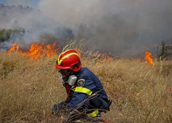 Μαθητές από το Βόλο σχεδίασαν πλατφόρμα έγκαιρης ανίχνευσης πυρκαγιών