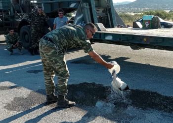 Ο ένας για τον άλλον… Στρατιωτικός φροντίζει πελαργό που κάηκε στη φωτιά της Λέσβου