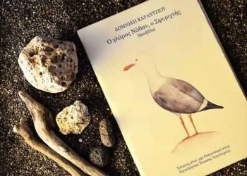 Ο γλάρος Νάθαν, ο Σφυριχτής: 4ο κεφάλαιο – Η γνωριμία με τους ανθρώπους